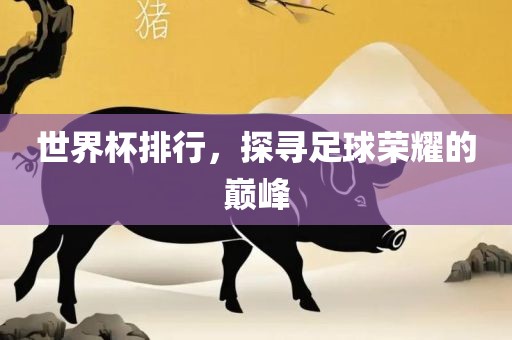 世界杯排行，探寻足球荣耀的巅峰