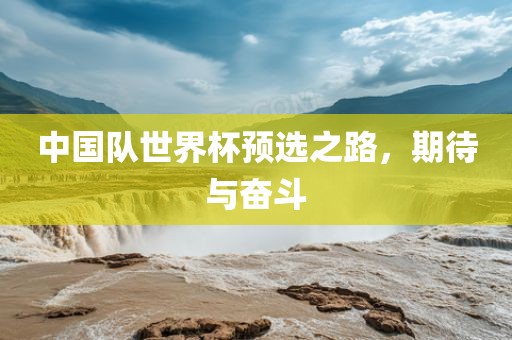 中国队世界杯预选之路，期待与奋斗