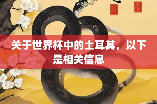 关于世界杯中的土耳其，以下是相关信息