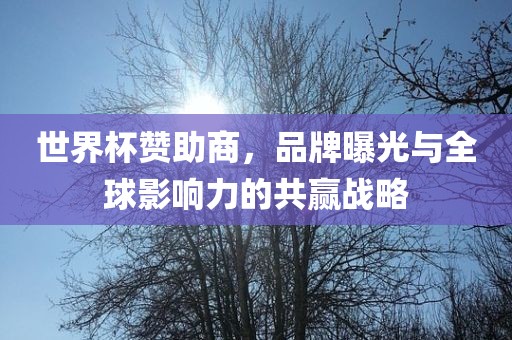 世界杯赞助商，品牌曝光与全球影响力的共赢战略