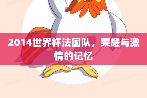 2014世界杯法国队，荣耀与激情的记忆