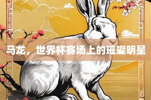 马龙，世界杯赛场上的璀璨明星