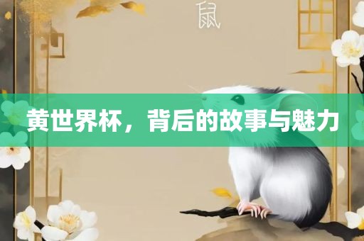 黄世界杯，背后的故事与魅力