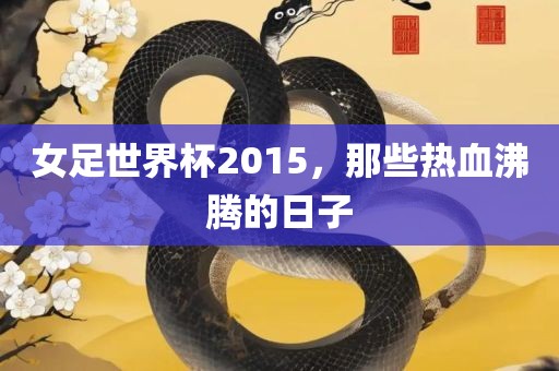 女足世界杯2015，那些热血沸腾的日子