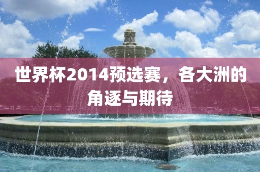 世界杯2014预选赛，各大洲的角逐与期待