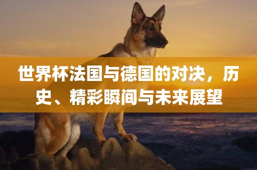 世界杯法国与德国的对决，历史、精彩瞬间与未来展望
