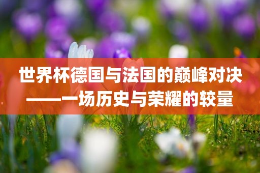 世界杯德国与法国的巅峰对决——一场历史与荣耀的较量