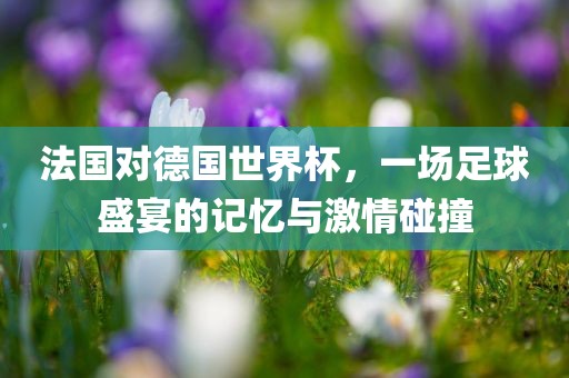 法国对德国世界杯，一场足球盛宴的记忆与激情碰撞