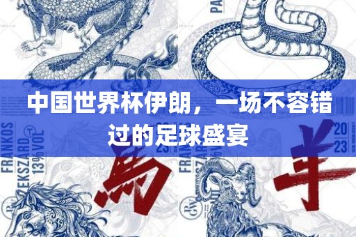 中国世界杯伊朗，一场不容错过的足球盛宴
