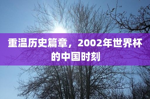 重温历史篇章，2002年世界杯的中国时刻