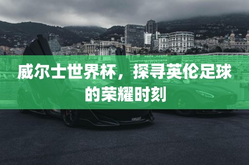 威尔士世界杯，探寻英伦足球的荣耀时刻吉安市靖泰电力工程有限公司