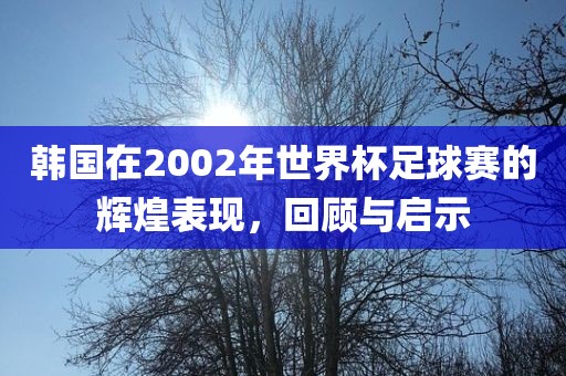 韩国在2002年世界杯足球赛的辉煌表现，回顾与启示