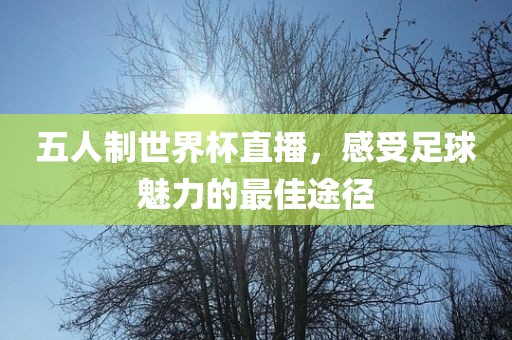 五人制世界杯直播，感受足球魅力的最佳途径