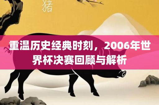 重温历史经典时刻，2006年世界杯决赛回顾与解析