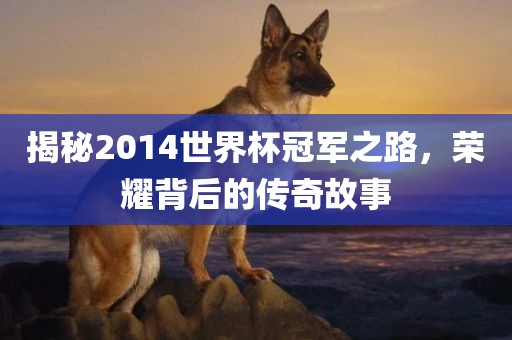 揭秘2014世界杯冠军之路，荣耀背后的传奇故事