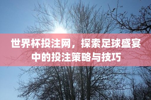 世界杯投注网，探索足球盛宴中的投注策略与技巧