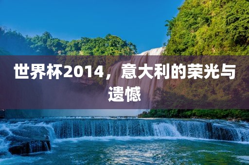 世界杯2014，意大利的荣光与遗憾