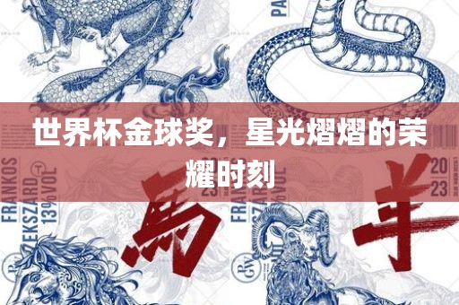 世界杯金球奖，星光熠熠的荣耀时刻