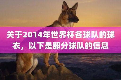 关于2014年世界杯各球队的球衣，以下是部分球队的信息