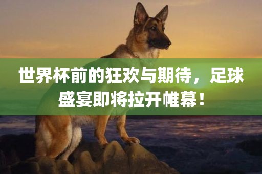 世界杯前的狂欢与期待，足球盛宴即将拉开帷幕！