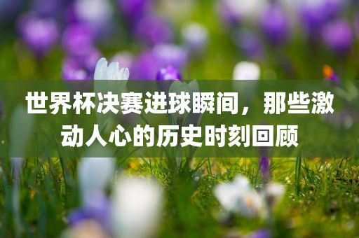 世界杯决赛进球瞬间，那些激动人心的历史时刻回顾