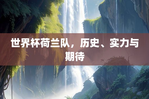 世界杯荷兰队，历史、实力与期待