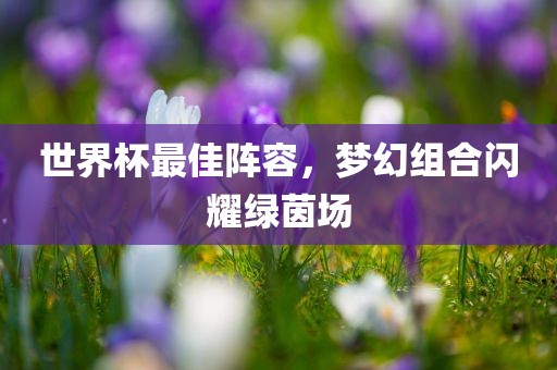 世界杯最佳阵容，梦幻组合闪耀绿茵场