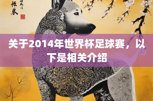 关于2014年世界杯足球赛，以下是相关介绍