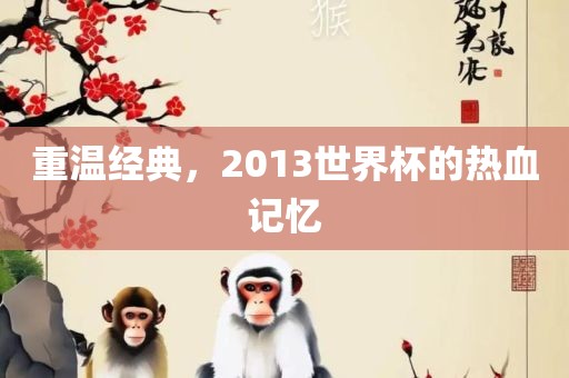 重温经典，2013世界杯的热血记忆