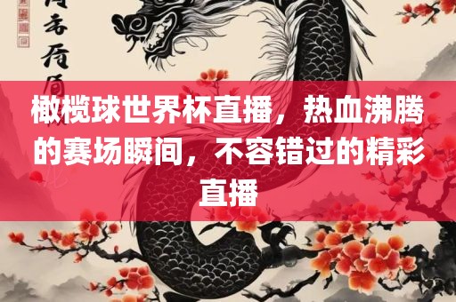 橄榄球世界杯直播，热血沸腾的赛场瞬间，不容错过的精彩直播