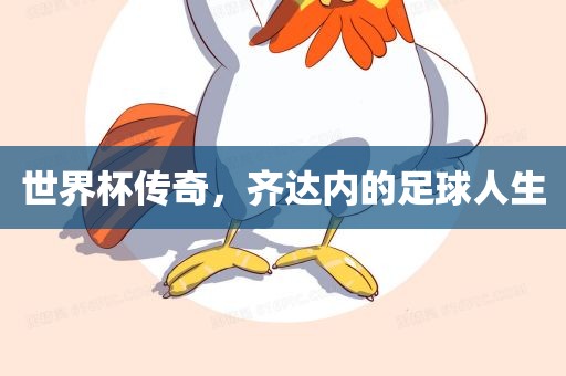 世界杯传奇，齐达内的足球人生