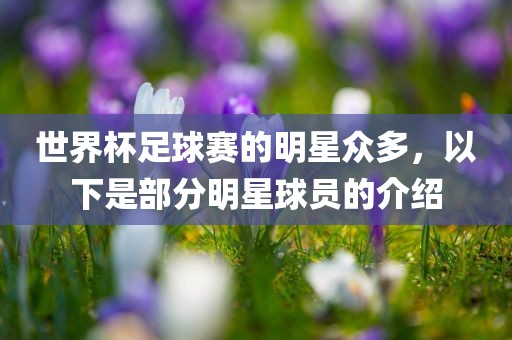 世界杯足球赛的明星众多，以下是部分明星球员的介绍