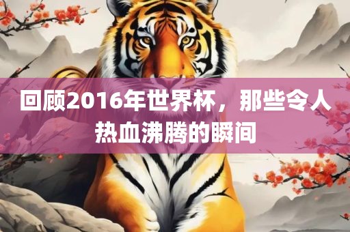 回顾2016年世界杯，那些令人热血沸腾的瞬间