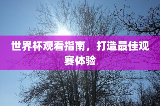 世界杯观看指南，打造最佳观赛体验