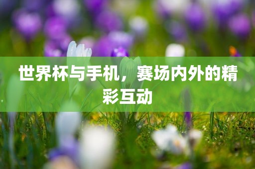 世界杯与手机，赛场内外的精彩互动