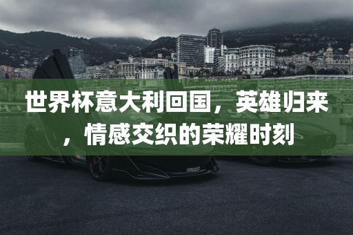 世界杯意大利回国，英雄归来，情感交织的荣耀时刻