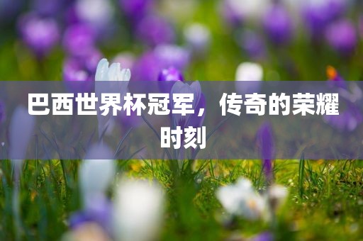 巴西世界杯冠军，传奇的荣耀时刻