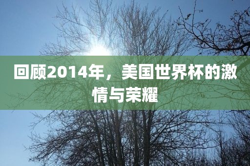 回顾2014年，美国世界杯的激情与荣耀