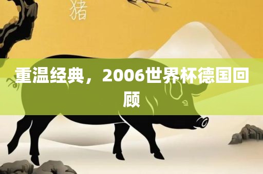 重温经典，2006世界杯德国回顾