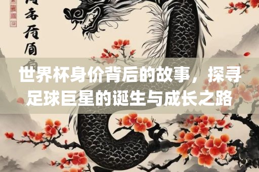 世界杯身价背后的故事，探寻足球巨星的诞生与成长之路