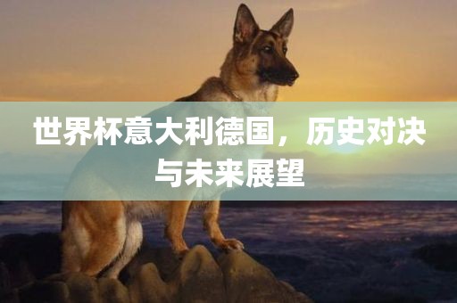 世界杯意大利德国，历史对决与未来展望