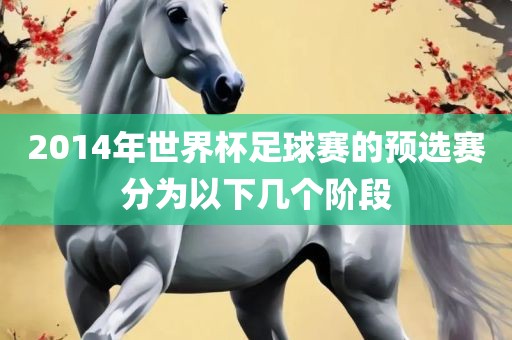 2014年世界杯足球赛的预选赛分为以下几个阶段