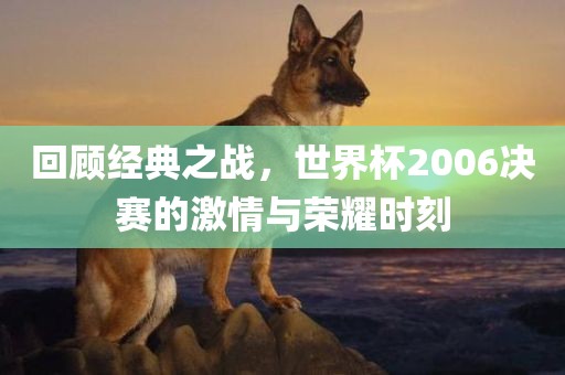 回顾经典之战，世界杯2006决赛的激情与荣耀时刻