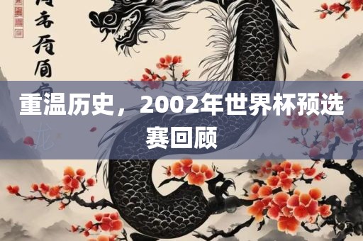 重温历史，2002年世界杯预选赛回顾