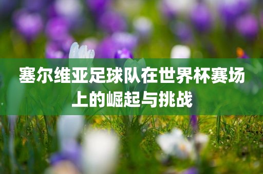 塞尔维亚足球队在世界杯赛场上的崛起与挑战
