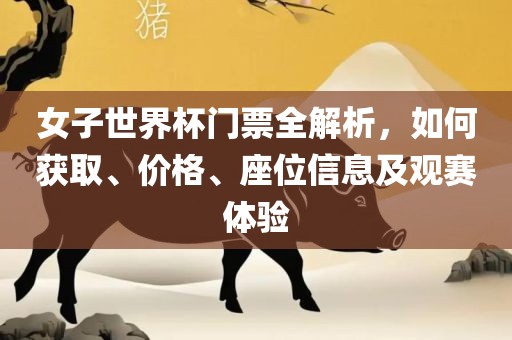 女子世界杯门票全解析，如何获取、价格、座位信息及观赛体验