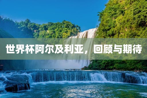 世界杯阿尔及利亚，回顾与期待