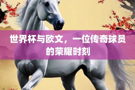 世界杯与欧文，一位传奇球员的荣耀时刻