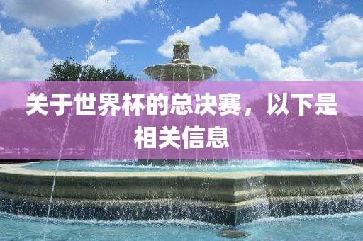 关于世界杯的总决赛，以下是相关信息