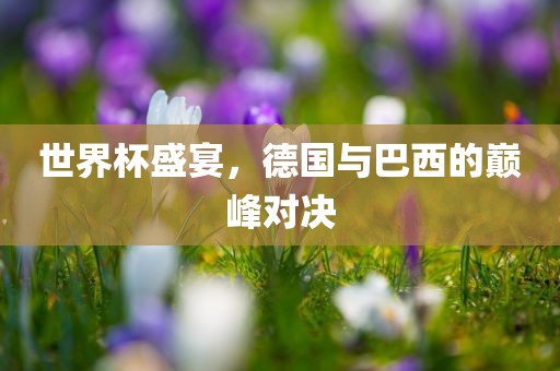 世界杯盛宴，德国与巴西的巅峰对决